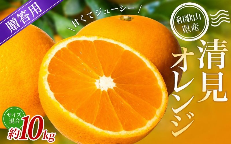 
                  【贈答用】 森本農園の手選別 清見オレンジ 約10kg 和歌山県産 サイズ混合 【北海道・沖縄・離島配送不可】【2027年2月上旬～5月中旬頃に順次発送】【BV-mrmt138】
                
