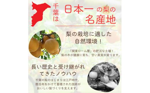 D031-2026 【家庭用】果汁たっぷりの極上梨「あきづき・3kg」（2026年産）