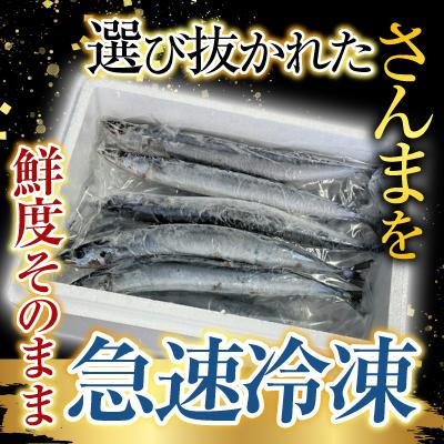 ふるさと納税 根室市 【北海道根室産】冷凍さんま5尾×6P(計30尾) B-76001 |  | 02