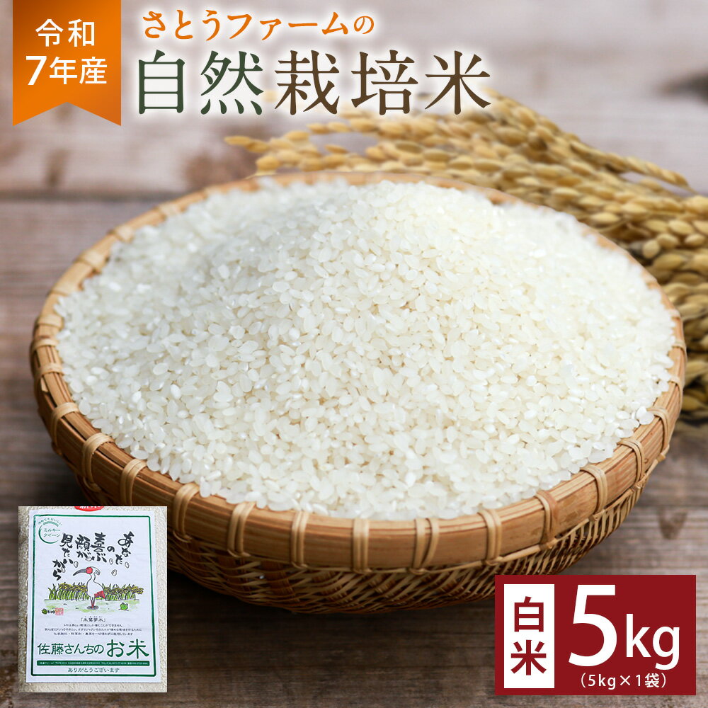 【ふるさと納税】【令和7年産】さとうファームの自然栽培米（白米5kg） 米 こめ コメ お米 おこめ 白米 白ごはん 自然栽培米 ミルキークイーン 単一原料米 精米 大分県 九重町 送料無料