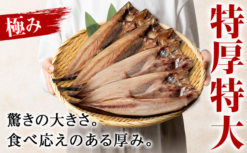 究極の干物専門店が作る！至高の極干　特大とろさば・特大真ほっけ各3枚