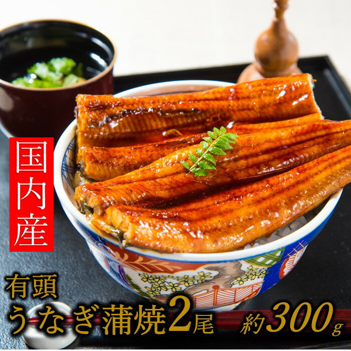 【ふるさと納税】【国内産】【有頭】うなぎ蒲焼2尾 ＜計300g前後＞『1～2ヶ月前後でお届け！！』 鰻 たれ 山椒．A1423