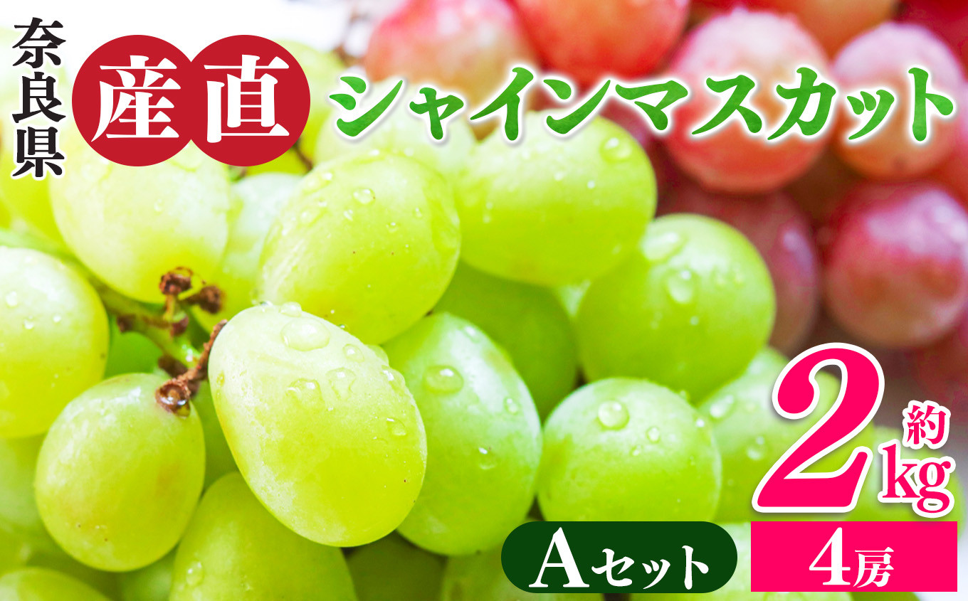 
                  シャインマスカットと季節のぶどう セットA（4房入り）約2kg | フルーツ 果物 くだもの ぶどう 葡萄 ブドウ シャイン マスカット 奈良県 平群町 季節 セット
                