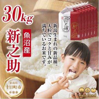 ふるさと納税 十日町市 【令和7年産 新米予約】 【新品種】 魚沼産 新之助 30kg  新潟県 十日町市 のうランド