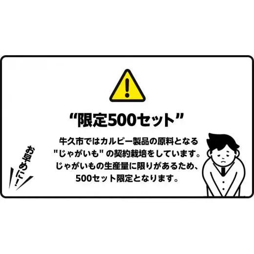 カルビー ポテトチップス BIGBAG 160g コンソメパンチ 1ケース ( 12袋 )