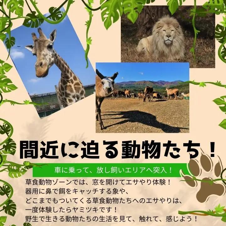 東北サファリパーク入園チケット 大人2名＋小人2名（ 入園チケット＋草食動物のエサ）【株式会社東北サファリパーク】