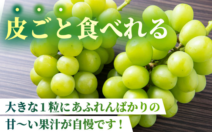 【先行予約】【数量限定】シャインマスカット 2kg(5～6房)【合同会社 社方園】 [ZBZ013]