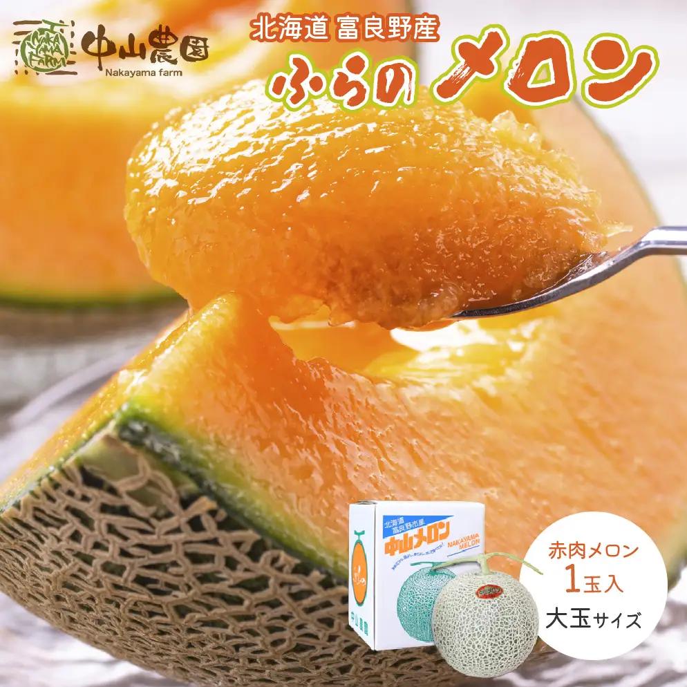 メロン 富良野産 赤肉メロン 大玉 メロン【1玉 1.6kg以上】