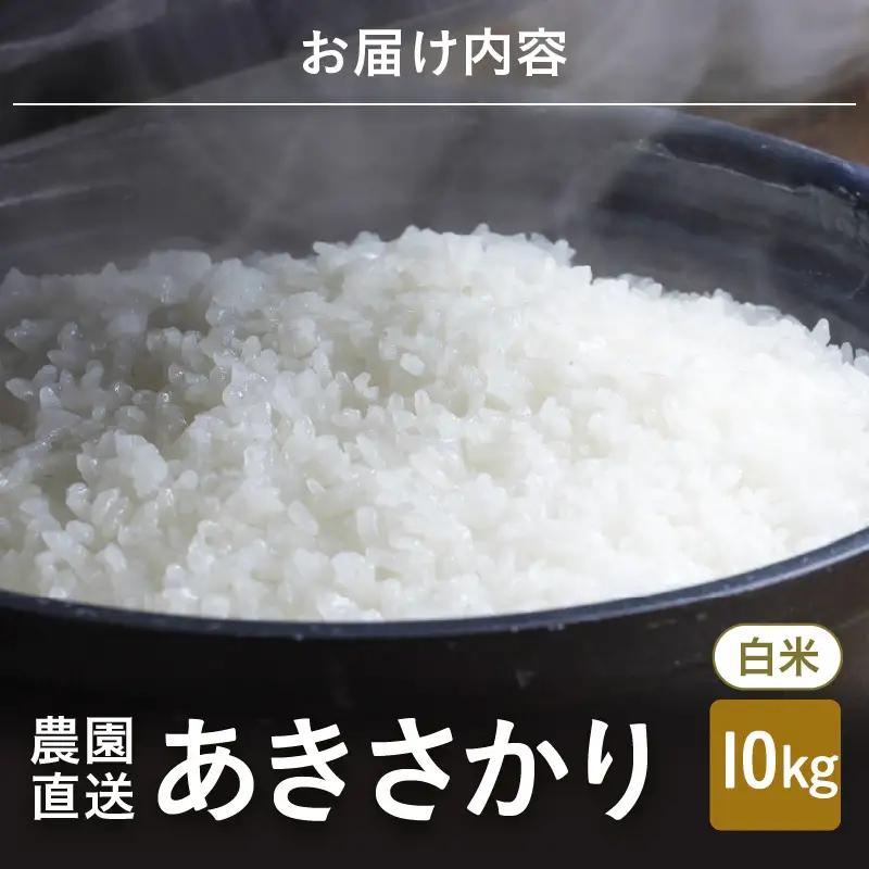 先行予約 令和8年産 新米 (白米) あきさかり 10kg (5kg×2袋) ブランド米 米 2026年10月上旬以降順次発送 [A-89102_01]