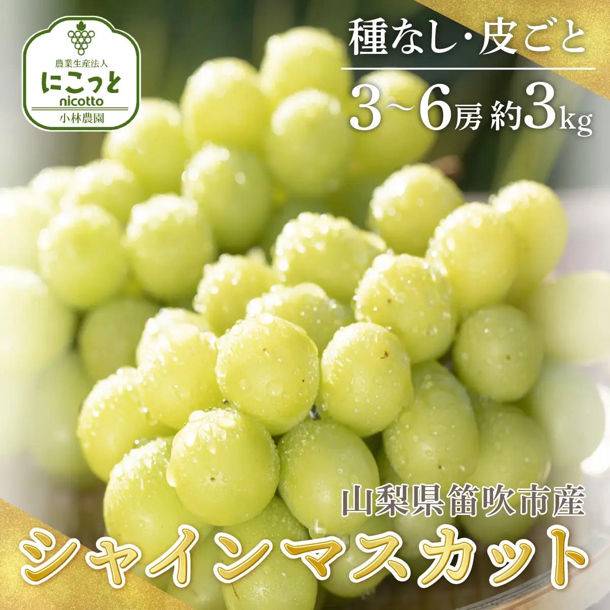 【2026年発送★先行予約】シャインマスカット 3から6房 約3.0kg ※沖縄県・離島は発送不可 097-014-26y | シャインマスカット 発送 3kg にこっと 笛吹市 山梨県 フルーツ 果物 ぶどう 葡萄 種無し 皮ごと おすすめ 贈答 ギフト 甘い 産地 期間限定 笛吹 人気 国産