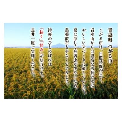 ふるさと納税 つがる市 つがる市産「津軽のひとめぼれ」5kg [0896] |  | 03