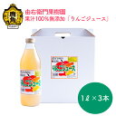 【ふるさと納税】 りんごジュース 果汁100％無添加 1L × 3本 リンゴ 完熟 蜜入り 旬 県産りんご お中元 お歳暮 贈答品 贈り物 お見舞い 内祝い グルメ ギフト 故郷 秋田 あきた 鹿角市 鹿角 送料無料 【由右衛門果樹園】