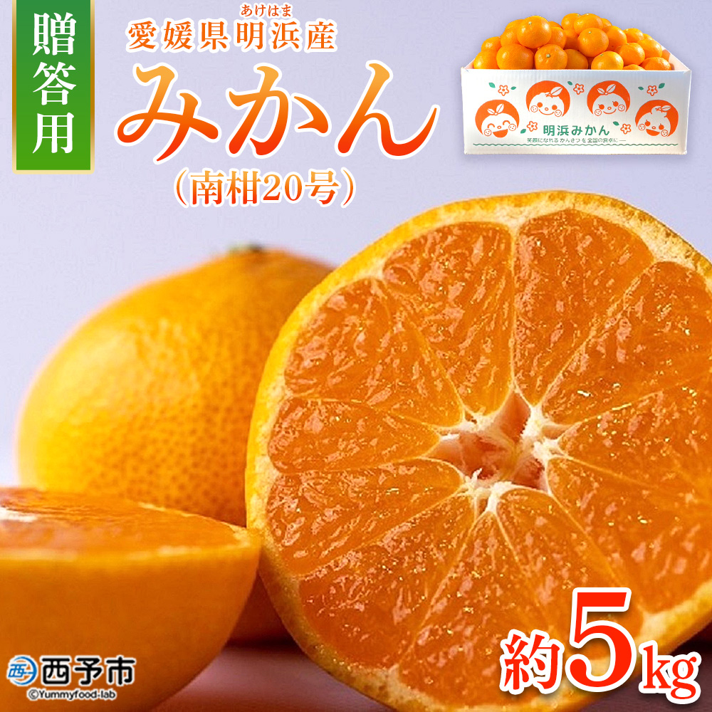 ＜みかん（南柑20号）贈答用 約5kg＞ 果物 くだもの フルーツ ミカン 柑橘 温州みかん うんしゅうみかん 贈答 ギフト プレゼント 特産品 株式会社笑丸 愛媛県 西予市