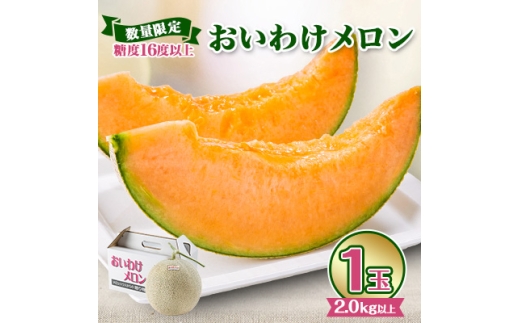 ＜2026年発送＞おいわけメロン 糖度16度以上 2.0kg以上×1玉(数量限定)【1102196】