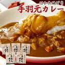 【ふるさと納税】はかた地どり　手羽元 カレー 210g × 5個　2L5