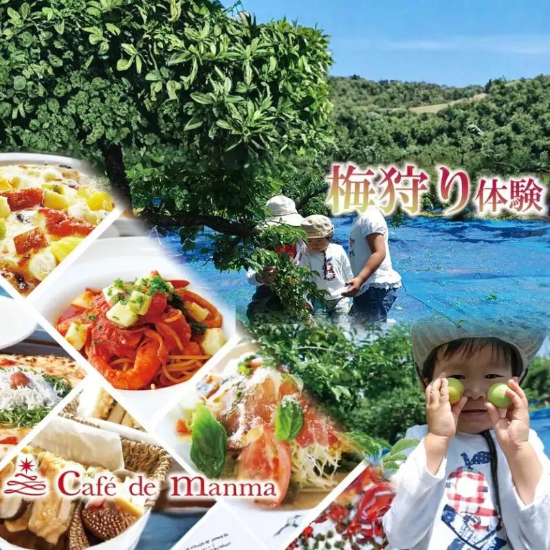 カフェドマンマ食事券2000円分＆梅狩り体験チケット ※≪6月1日～15日≫のみ体験受付可 iwasho007A【iwasho007A】