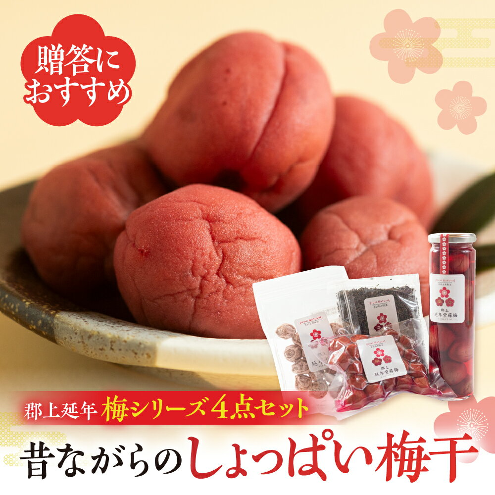 【ふるさと納税】郡上延年梅シリーズ4点セット / プラムナチュール 暑さ 対策 食品 漬物 梅干し 梅干し しそ梅 10000円 A-21