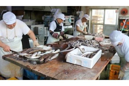 ラーメン フィッシュカツ セット 冷凍 国産 徳島県 豚骨 醤油 揚げ物 練り物 岡本中華 津久司蒲鉾 (人気ラーメン 人気ラーメン 大人気徳島ラーメン 人気徳島ラーメン 徳島ラーメン 大人気チャーシ