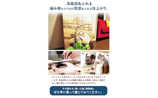 愛車オーダーメイドニット ひざかけプレミアム ホワイトモカ 有限会社 三浅あみものセンター《90日以内に出荷予定(土日祝除く)》鳥取県 八頭町 愛車 思い出 オーダーメイド オリジナルひざかけ ブラン