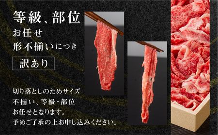 《定期便》全6回 飛騨牛 切り落とし 500g 訳あり 等級 部位お任せ 化粧箱入り すき焼き 鍋 スライス 和牛 牛肉 国産 ブランド和牛 飛騨 白川村 白川郷 わけあり 120000円 [S713