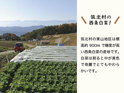 《冬白菜使用　先行予約》【2025年10月～順次発送】 筑北村 特産 西条白菜のキムチ　松ちゃんキムチ工房の元（ゲン） キムチ 2kg | 惣菜 野菜 産直 産地直送 生産者直送 長野県 信州
