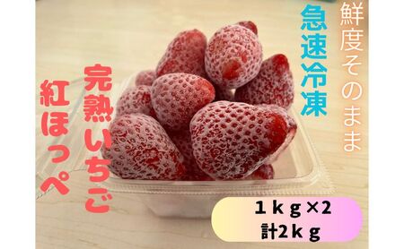 鮮度そのまま!!急速冷凍完熟いちご(紅ほっぺ)1kg×２個セット　ふぁいんファーム 果物 冷凍いちご 冷凍フルーツ ストロベリー 国産 