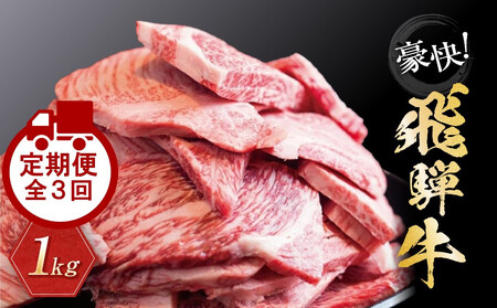 【定期便全3回】飛騨牛 訳あり焼肉1kg 切り落とし｜2ヶ月に1回お届け 牛肉 飛騨牛 牛肉 丸明 LR105