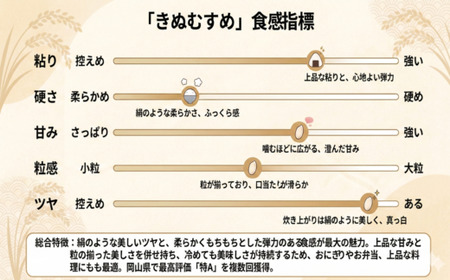 【期間限定寄附額】最高評価「特A」令和7年産 岡山県産米　「きぬむすめ」 10kg(5kg×2袋)　＜7月発送＞
