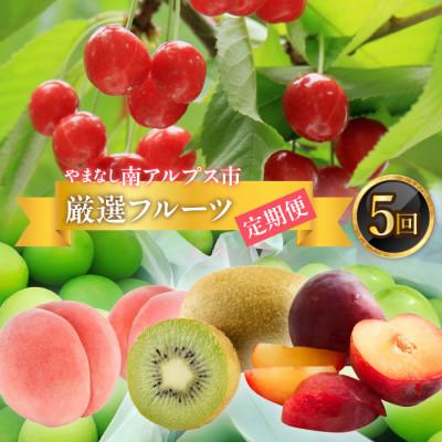 ふるさと納税 南アルプス市 【発送月固定定期便】フルーツギフト専門店が選ぶ南アルプスの厳選フルーツ定期便　全5品種K全5回