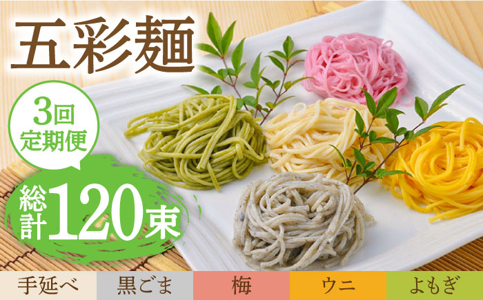 【3回定期便】五彩麺 セット 40束 / そうめん 素麺 黒ごま 梅 うに よもぎ / 麺 乾麺 食べ比べ 詰め合わせ カラフル / 南島原市 / のうち製麺 [SAF027]