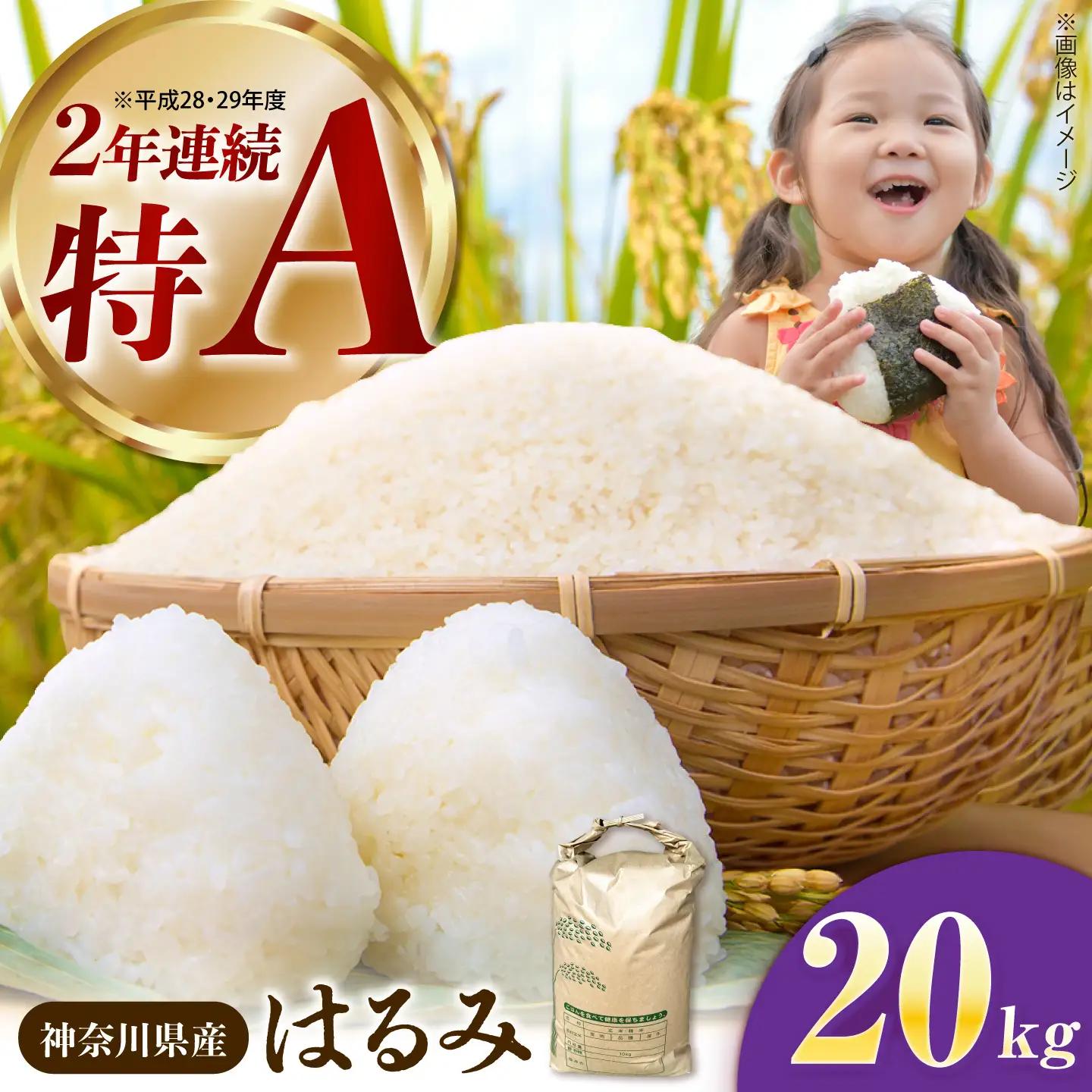 【白米】はるみ米 20kg 白米   [BDBB004]