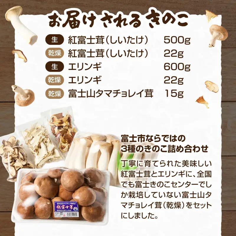 きのこ 富士山タマチョレイ茸 紅富士茸（椎茸） エリンギ 「美味しいきのこセット」 生きのこ 乾燥きのこ 3種 1kg以上 セット 詰め合わせ 薬品類無使用 柔らか 滑らか 旨み 国産 富士市産 富士