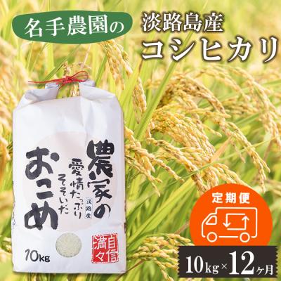 ふるさと納税 淡路市 【定期便12ヶ月】名手農園の淡路島産コシヒカリ 10kg　an03042