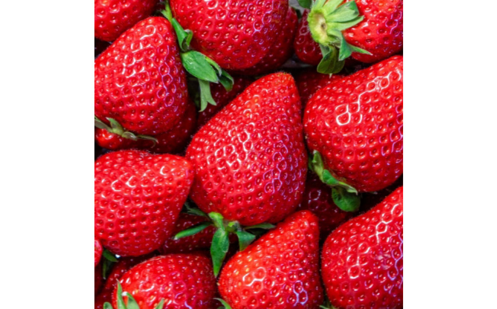 【定期便３回】福岡県産 完熟 博多あまおう 270ｇ×4【2026年2月1日～発送】