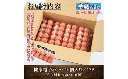 卵！健康電子たまご（鶏卵）12パック 120個入り(内10個 宅配破損時 保証卵付) 【A-929H】