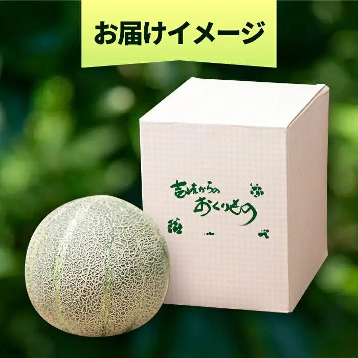 先行予約 メロン 大 1個 [JAZ007] アムスメロン