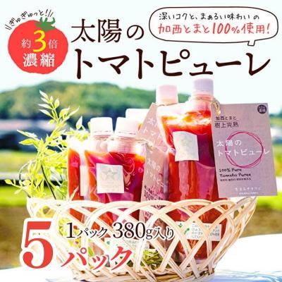 ふるさと納税 加西市 太陽のトマトピューレ 380g×5本 セット[No5698-1656]