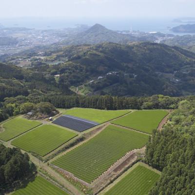 ふるさと納税 佐々町 【農林水産大臣賞受賞】4種丸型お茶詰め合わせ(佐々町) |  | 03