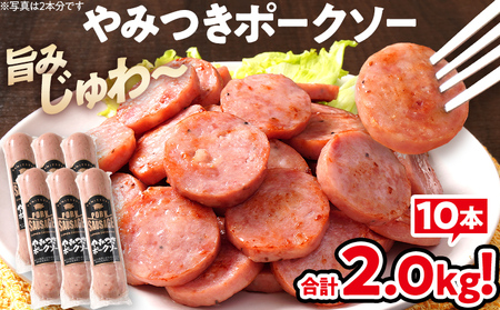 やみつきポークソー 2kg（10本） ボロニア ボロニアソーセージ 豚肉 ポークソーセージ にんにく 黒胡椒 おやつ ごはん おかず お酒 おつまみ 福岡県 福岡 九州 グルメ お取り寄せ