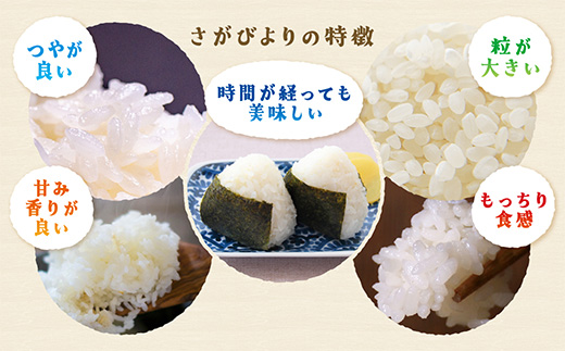 さがびより 新米 令和7年産 佐賀県産 ５kg 玄米【15年連続 特A評価】C-175