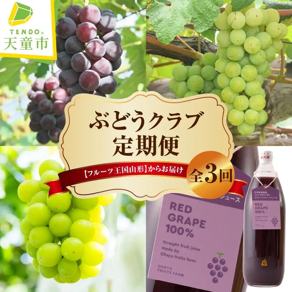 ぶどう クラブ 定期便 全3回 フルーツ定期便 ぶどう