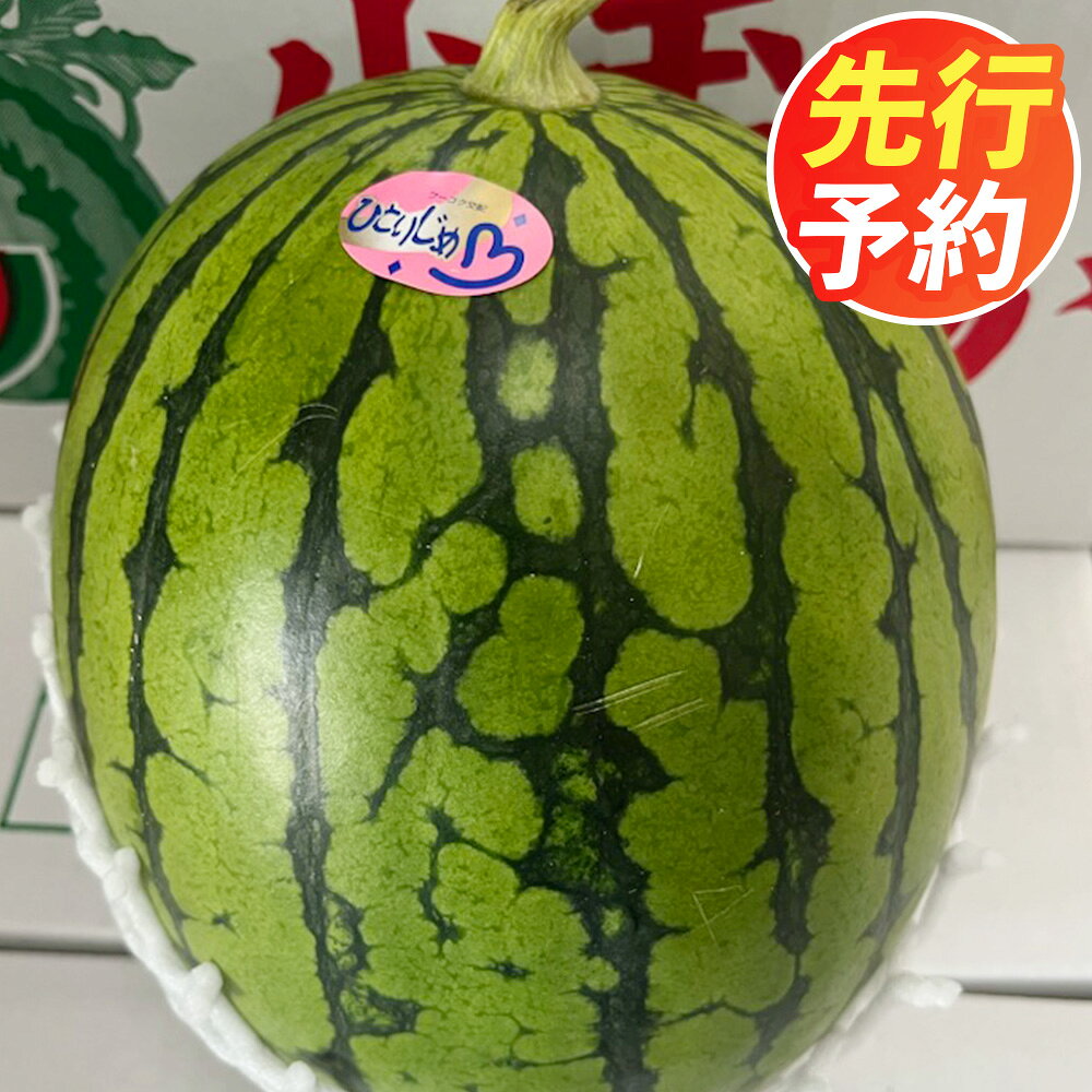 【ふるさと納税】 小玉 すいか 1玉入り 約1.5kg以上 西瓜 スイカ 小玉スイカ 果物 くだもの フルーツ おやつ 熊本市 熊本県産 国産 常温 先行予約 送料無料 【2027年5月上旬～7月中旬迄順次発送予定】