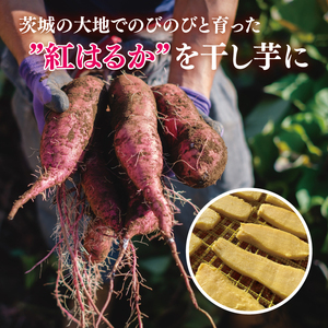 【12月より順次発送】干し芋 平干し 紅はるか 1kg（250g×4）【干し芋 干しいも ほし芋 芋 さつまいも さつま芋 紅はるか スイーツ 和スイーツ 茨城県 水戸市 水戸 】（IN-4)