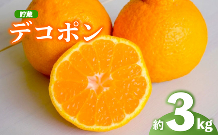 2026年 先行予約 デコポン 約3kg 不知火 デコポン