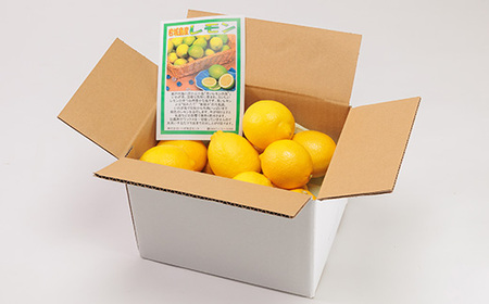 青いレモンの島　レモン約1kg【お試しセット】(12月下旬まではグリーンレモン)【1287524】