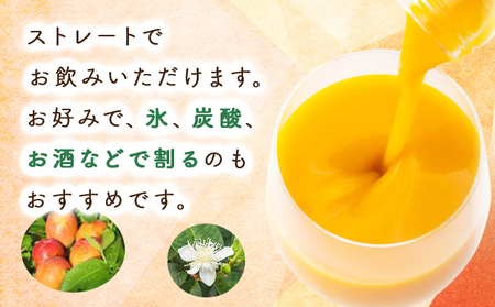 まるでマンゴーをたべているような！マンゴードリンク(720ml×2本）_K021-018
