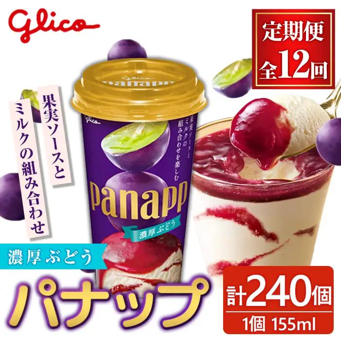 パナップ  計240個 12ヶ月定期便 グリコ スイーツ 【アイス】【ho1717】