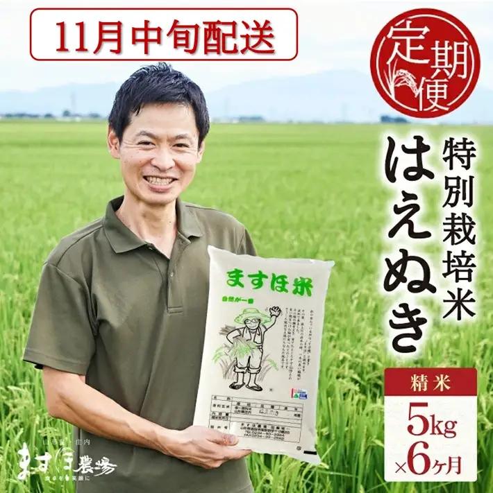 SG0160　11月中旬発送開始／【6回定期便】令和8年産【精米】特別栽培米『はえぬき』5kg×6回(計30kg) ［減農薬・減化学肥料］ MA