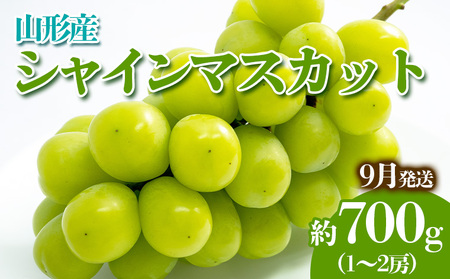 やまがたのぶどう シャインマスカット 9月 秀品 約700g(1～2房程度) 【令和6年産先行予約】FS23-816