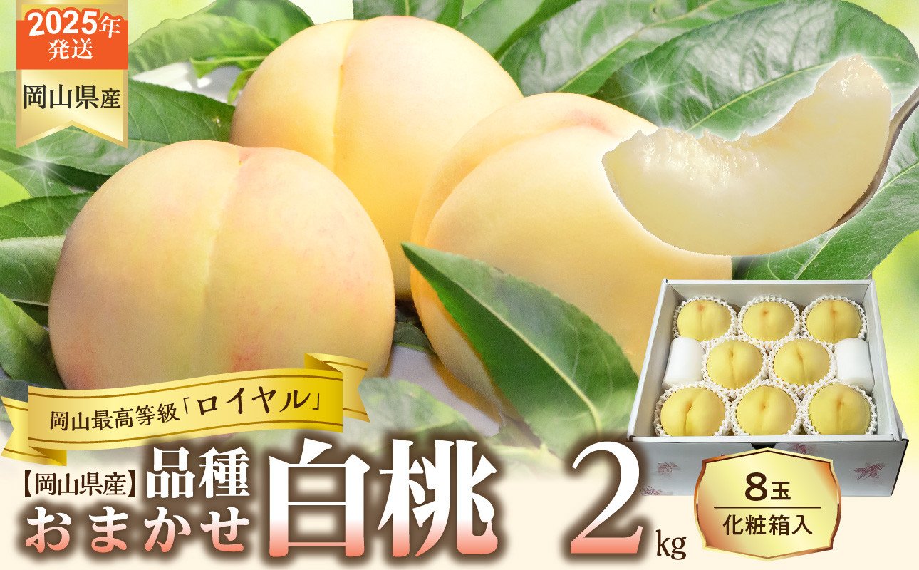 
            【令和７年発送分】岡山県産 白桃「ロイヤル」2kg（令和7年7月から8月発送）【 岡山県産 白桃 ロイヤル 晴れの国おかやま 】
          